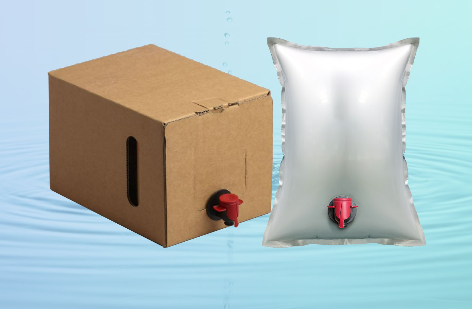 ¿Cómo funciona un sistema de bolsa en caja?